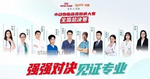 第二届小动物皮肤病论坛过敏主题实操指南：专家解析临床诊疗难题