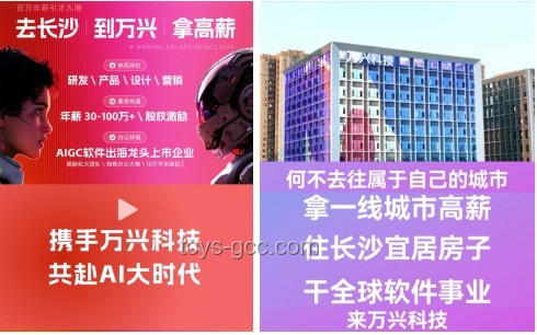 当县城职场来了大厂高管：无缝过渡与高效管理指南