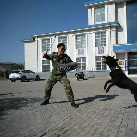 高考行业深度洞察：加油逐梦，梦想成真之路