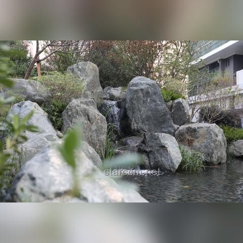 中国游客在日本京都安全事件洞察
