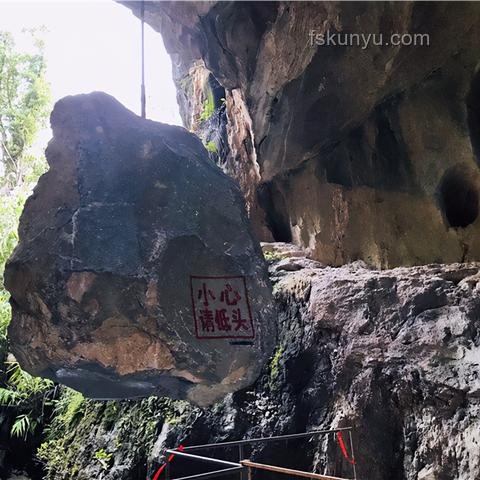 21世纪生物学：天坑还是新机遇？