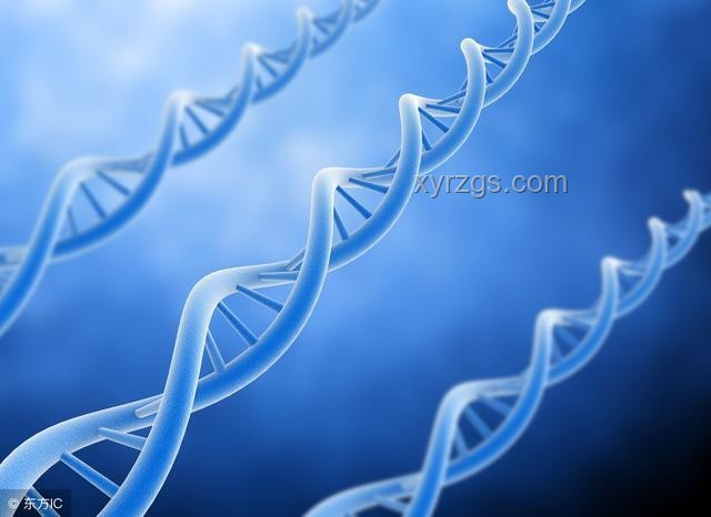 21世纪生物学是否仍是“天坑”专业？生物学新展望